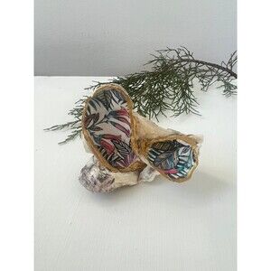 Decorated Tropical Leaf Oyster Shell Cluster
